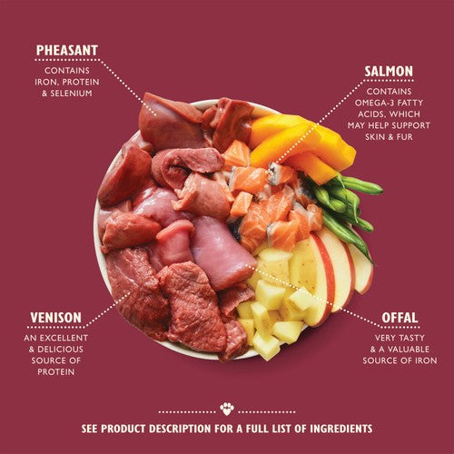 Lily's Kitchen Wild Campfire Stew for Dogs