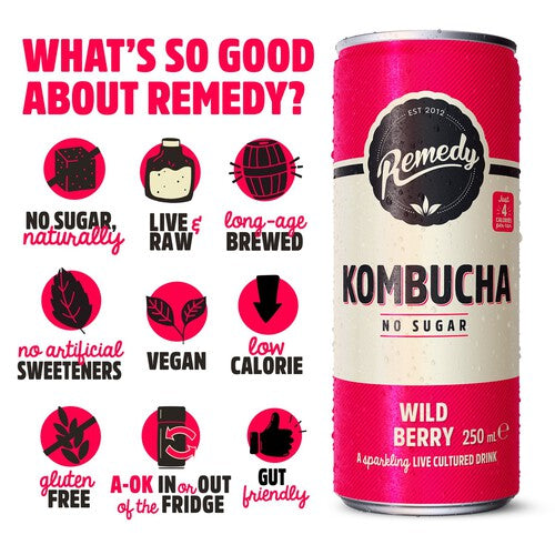 Remedy Kombucha Wild Berry Multipack