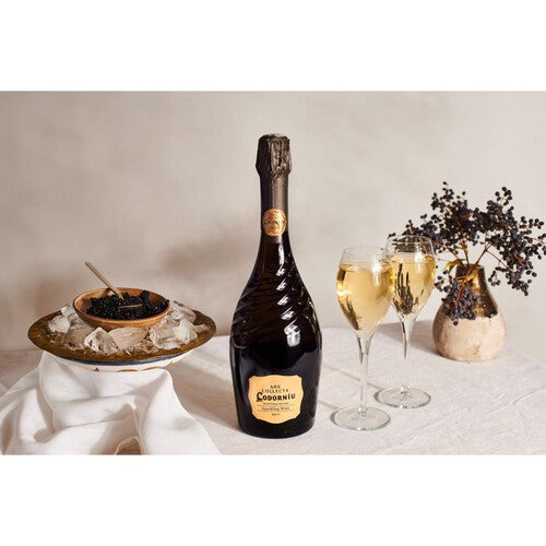 Codorniu Ars Collecta Blanc de Blancs Cava