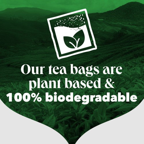 PG Tips Decaf Black Tea x70 Decaffeinated Tea Bags