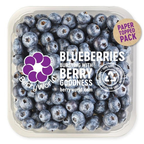 BerryWorld Blueberries