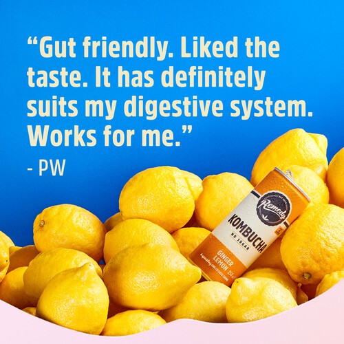 Remedy Kombucha Ginger Lemon Multipack