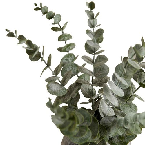 M&S Artificial Eucalyptus in Ceramic Pot, Green
