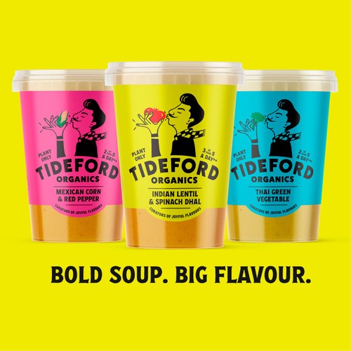 Tideford Organic Lentil & Spinach Dhal Soup