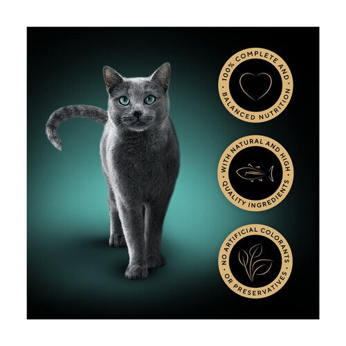 Sheba Sauce Lover Adult Wet Cat Food Tray MSC Tuna in Gravy
