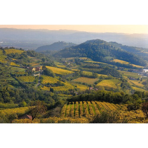 Faldeo Prosecco