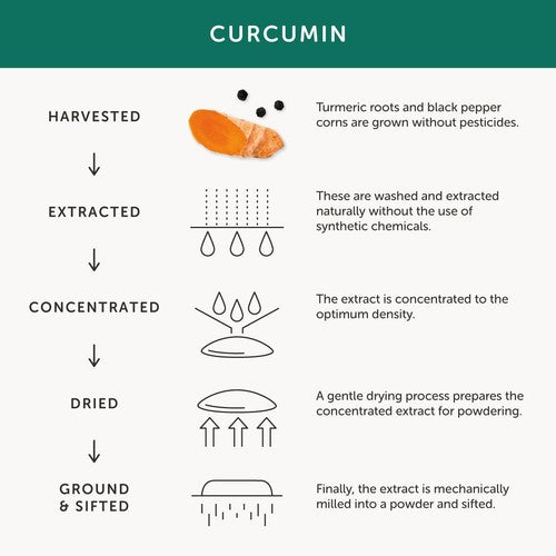 Together Health Turmeric & Curcumin Supplement