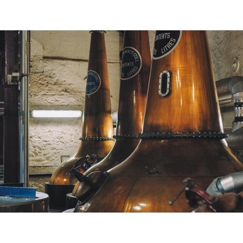 Bushmills 10 Year Old Single Malt Irish Whiskey