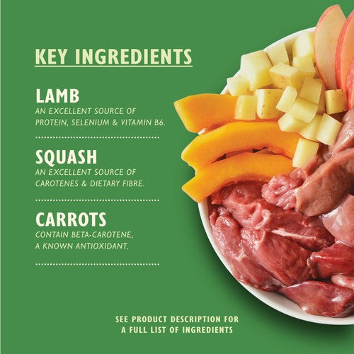 Lily's Kitchen Lamb Hotpot for Dogs
