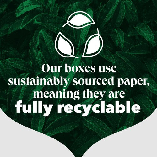 PG Tips Original Black Tea x80 Tea Bags