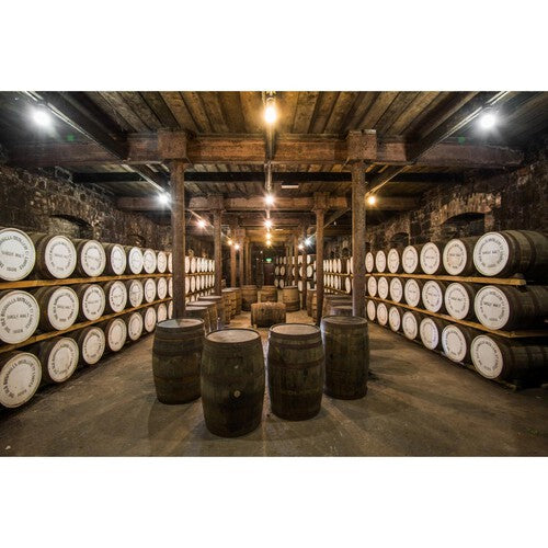 Bushmills 10 Year Old Single Malt Irish Whiskey