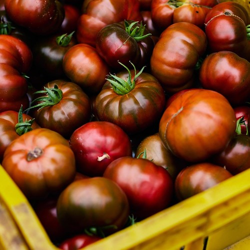 Natoora Spanish Black Iberiko Winter Tomatoes