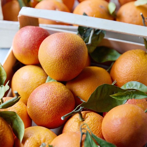 Natoora Sicilian Unwaxed Blood Oranges