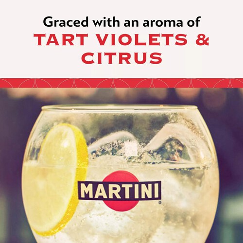 Martini Extra Dry Vermouth Aperitivo