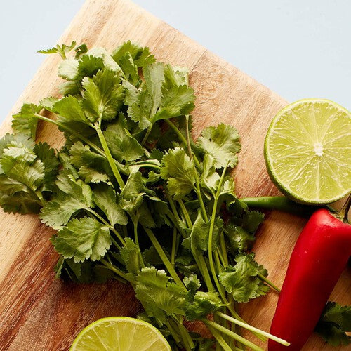 Ocado Coriander