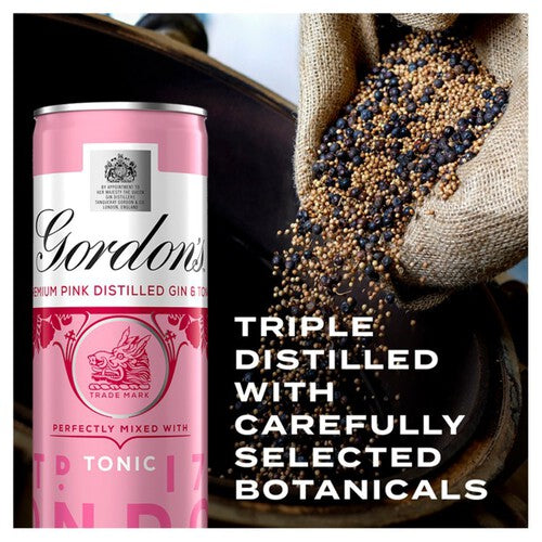 Gordon's Pink Gin & Tonic