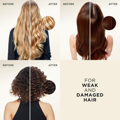 Pantene Shampoo Repair & Protect