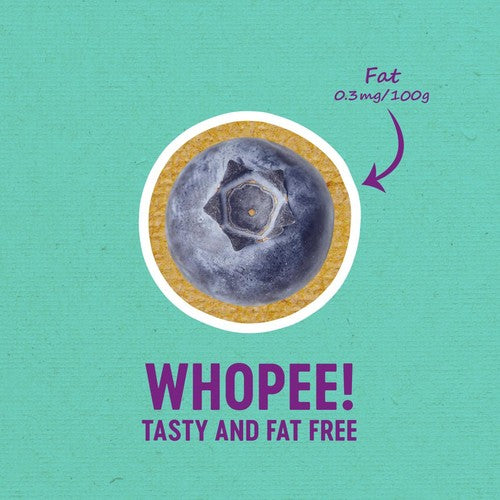 BerryWorld Blueberries