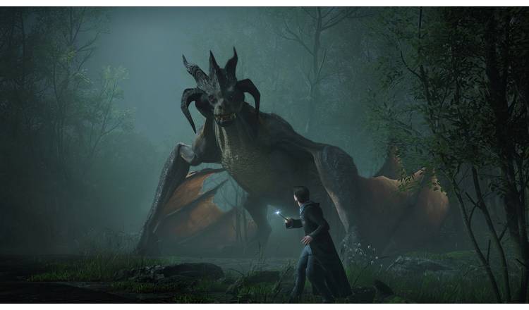 Hogwarts Legacy PS4 Game