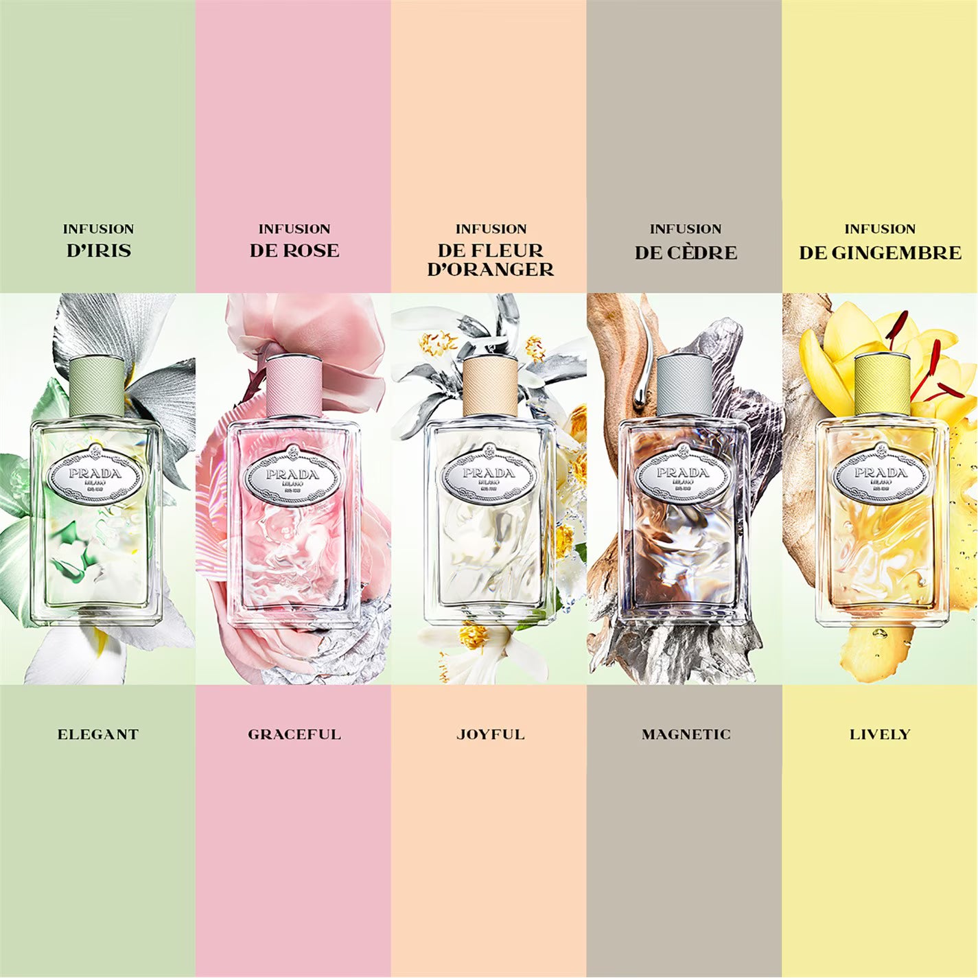 Prada Infusion de Gingembre Eau de Parfum
