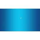 Streetwize Outdoor Mobility Half Step