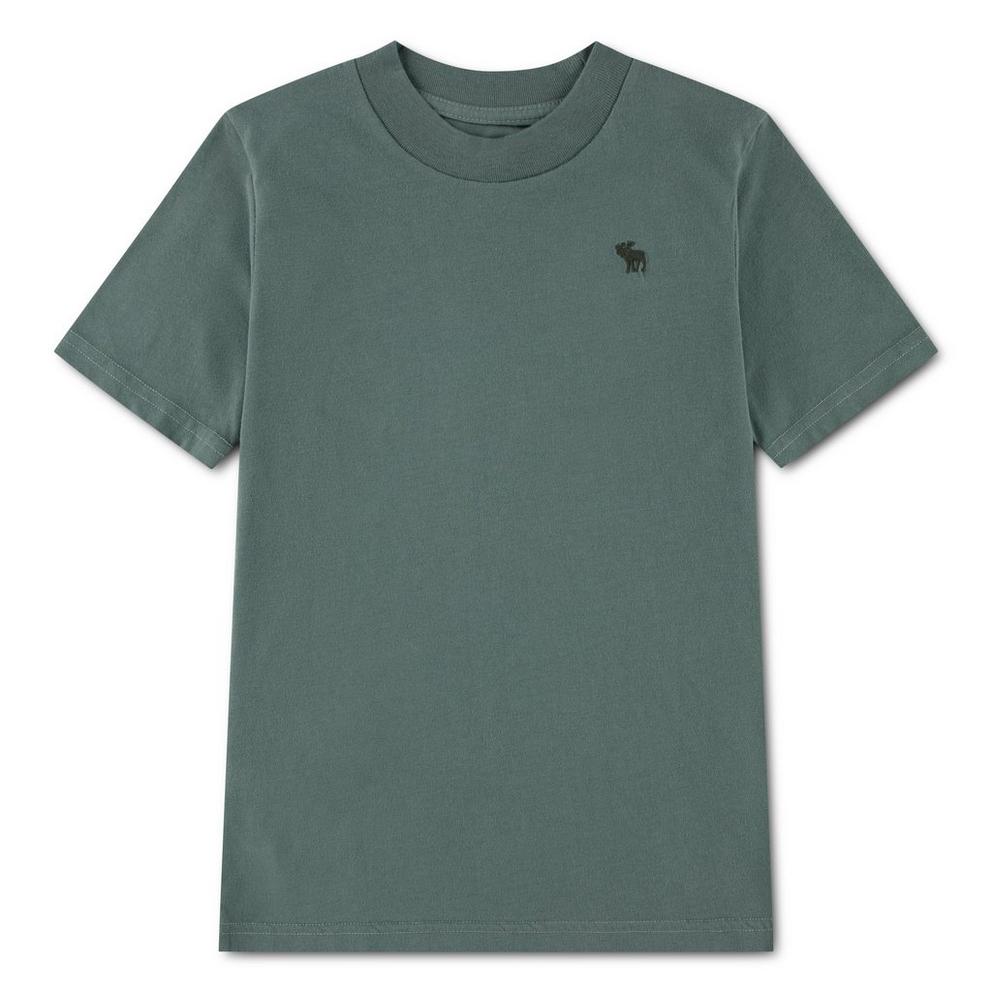 Abercrombie and Fitch A and F Sht Sleeve E Jn63