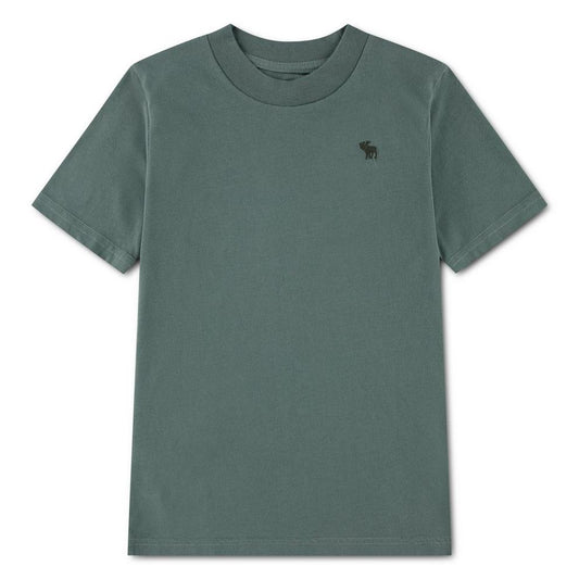 Abercrombie and Fitch A and F Sht Sleeve E Jn63