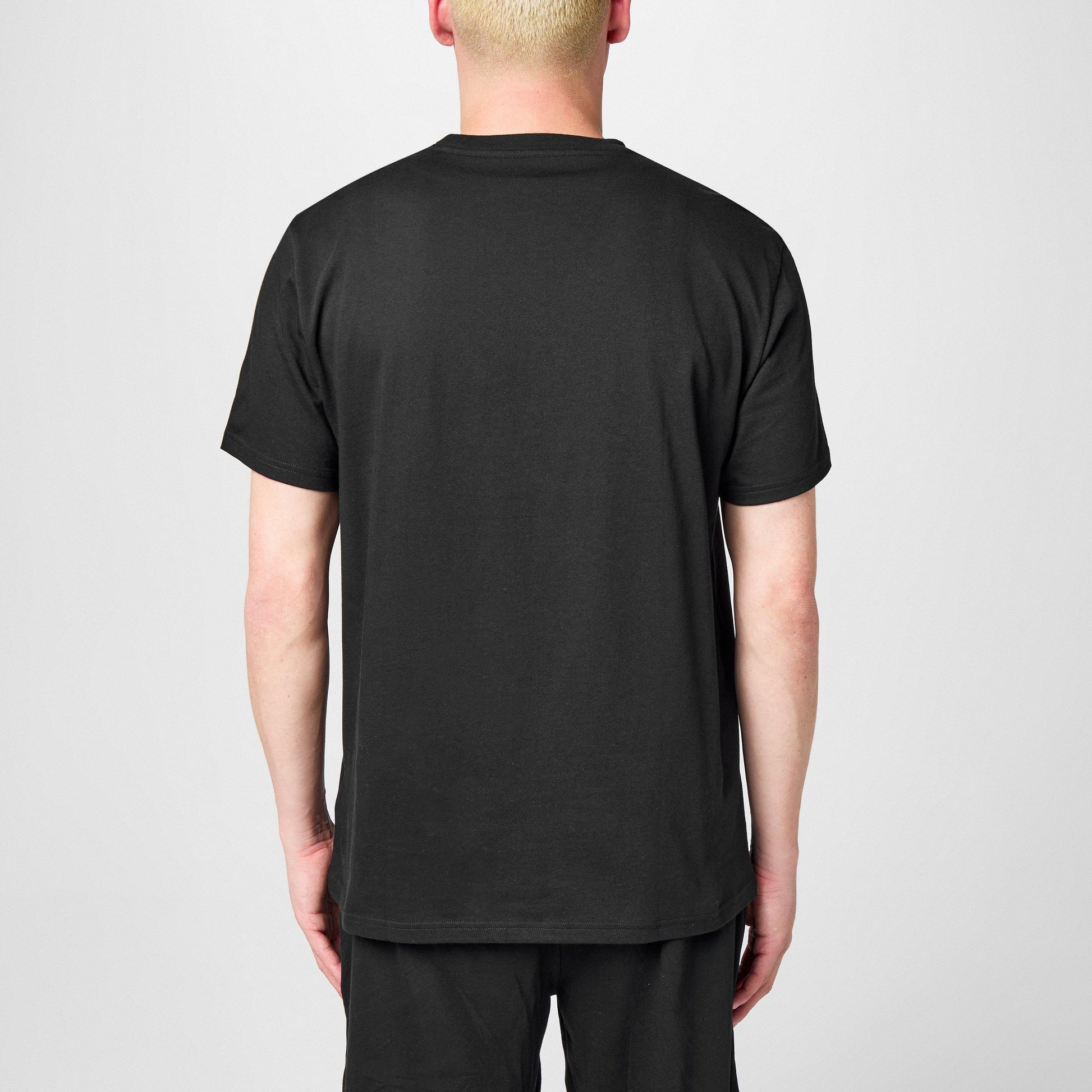 Polo Ralph Lauren Mens Regular Fit Short Sleeve T-Shirt
