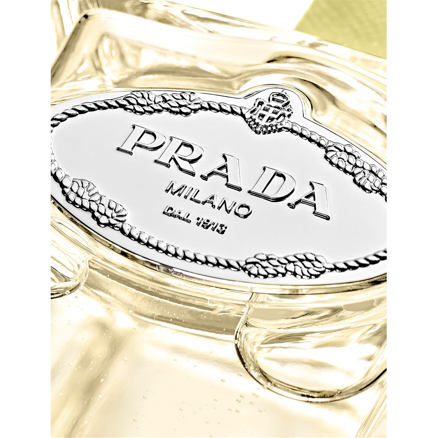 Prada Infusion de Gingembre Eau de Parfum
