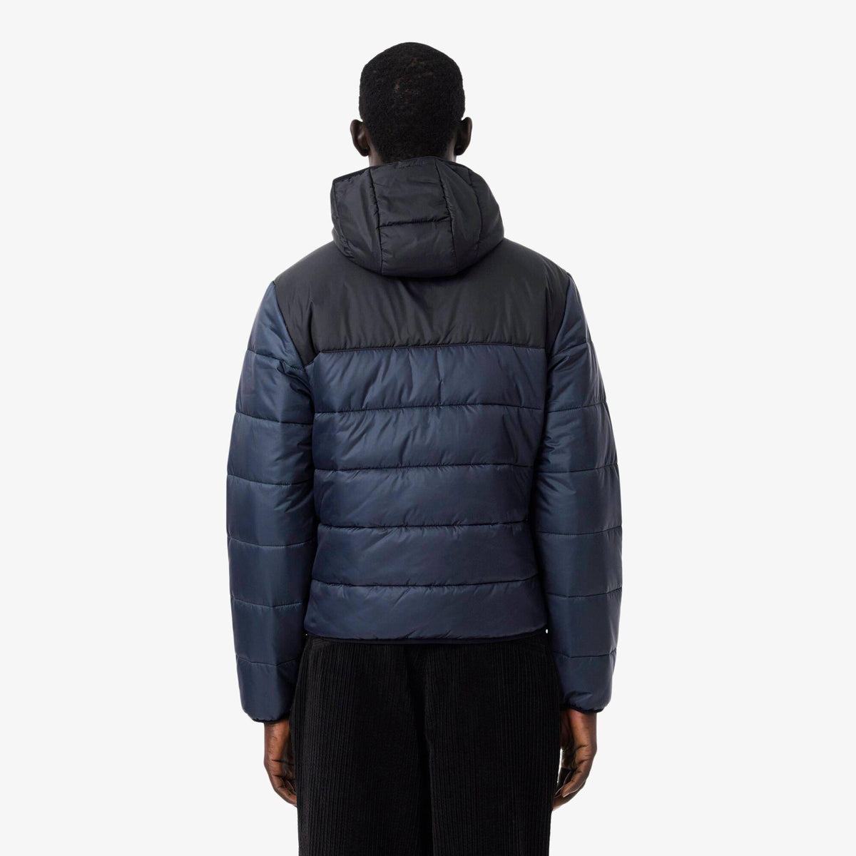 Lacoste Col Blk Pffr Sn64