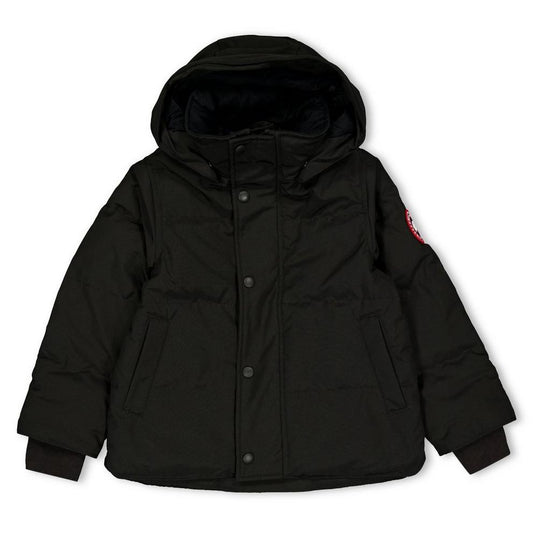 Canada Goose Canada Snowy Owl Prk Jn64