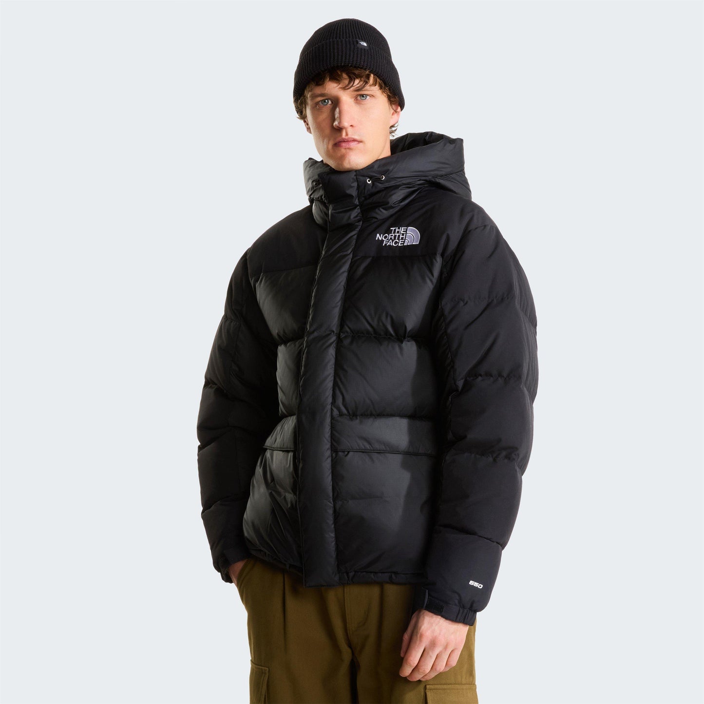 The North Face Hmlyn Down Parka Mens