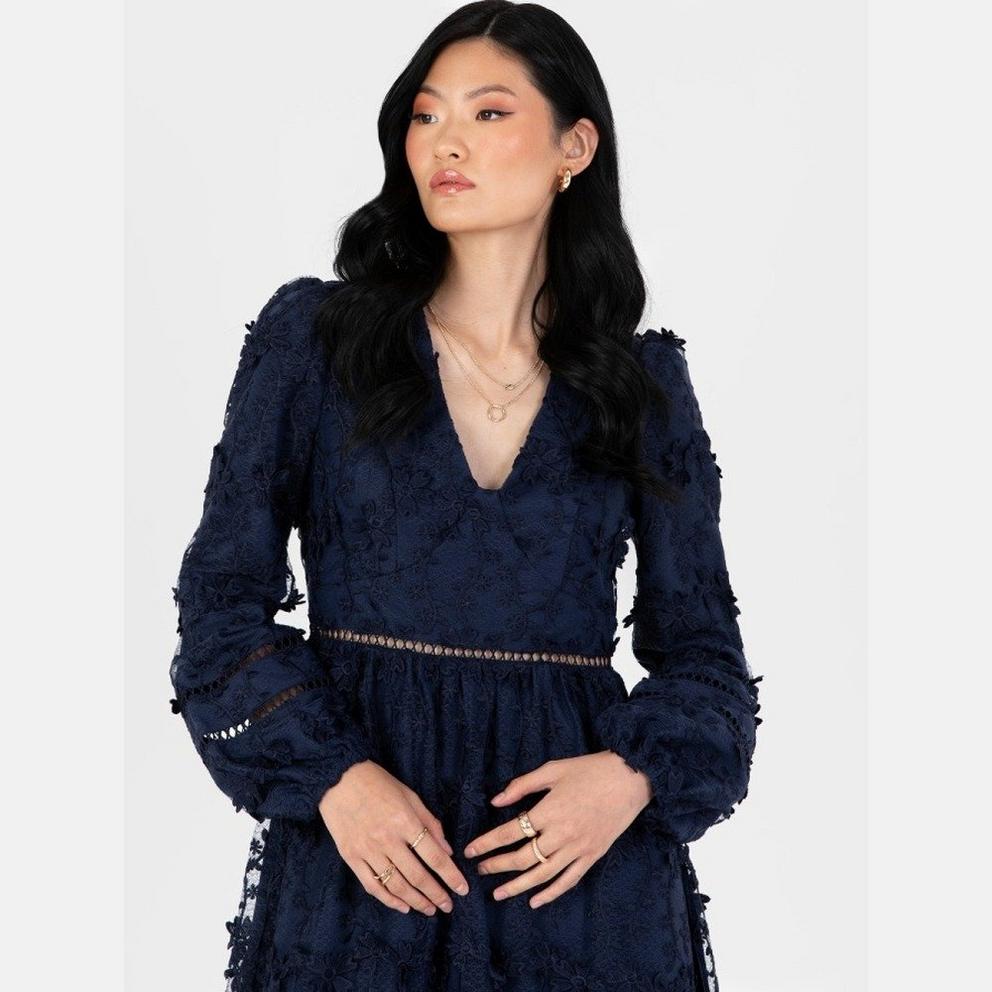 Maya 3D Floral Embroidered Maxi Sleeve Midi Dress