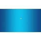 Streetwize Travel Neck Pillow With Clip