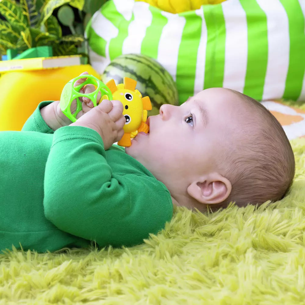 Bright Starts Soother Pals Teether Toys