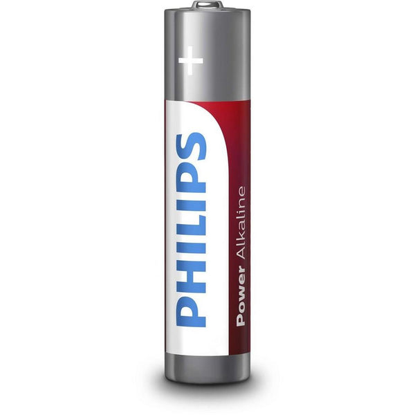 AA Batteries