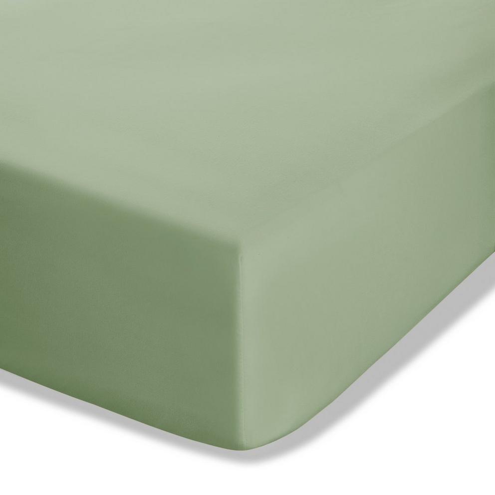Easy Iron Percale Combed Extra Deep Fitted Sheet