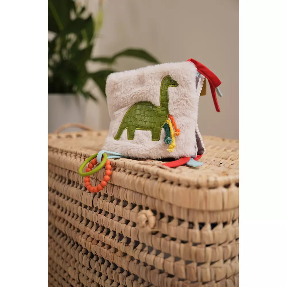 Little Big Friends Activity Book Dino
