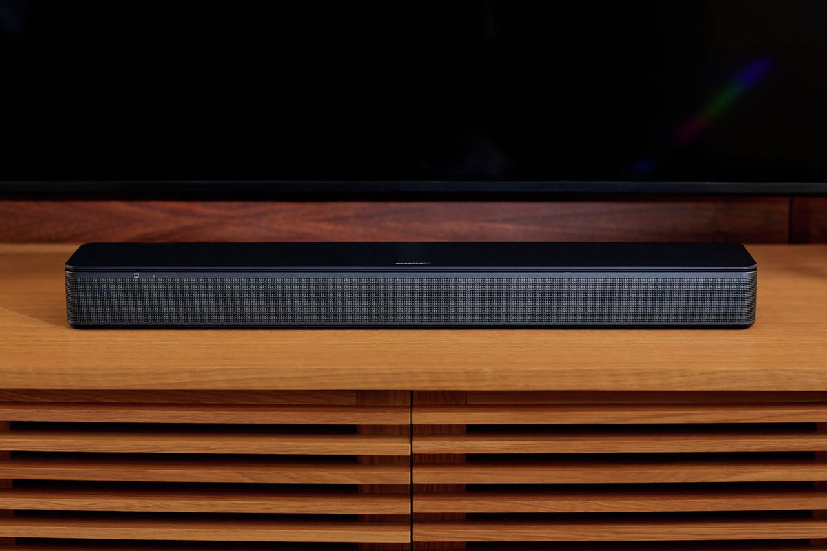 Bose TV Speaker