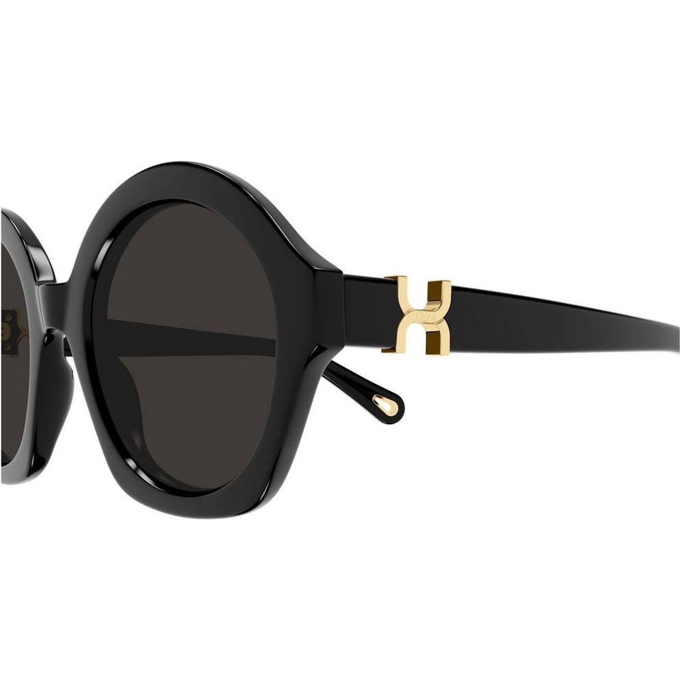 Chloe Women's Oval Sunglasses