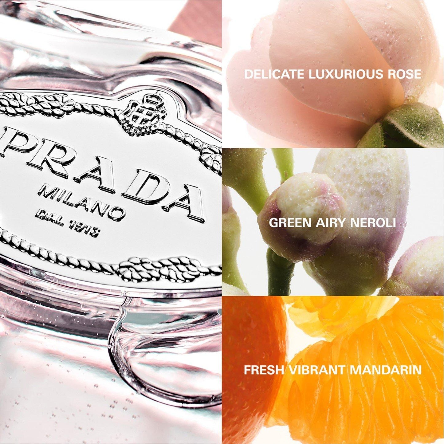 Prada Infusion de Rose Eau de Parfum