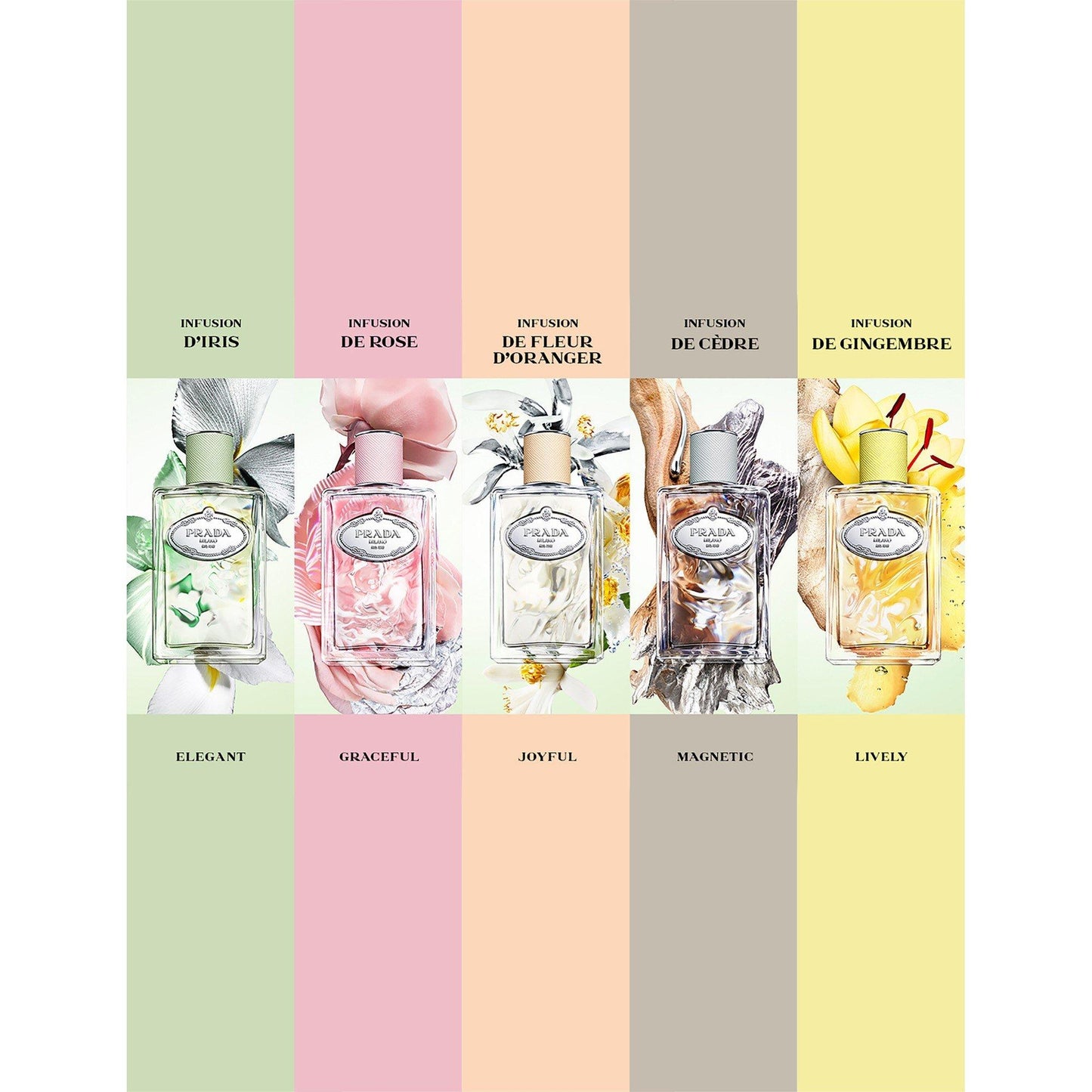 Prada Infusion de Rose Eau de Parfum
