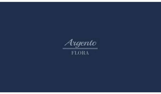 De'Longhi KBX3016.GR Argento Flora Kettle - Green