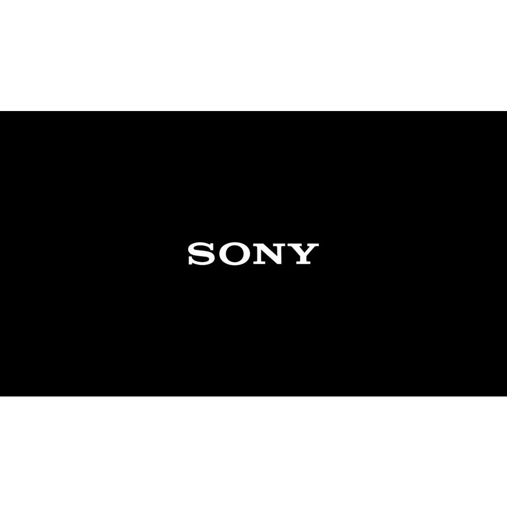 Sony WF-C710N In-Ear True Wireless Earbuds - Black