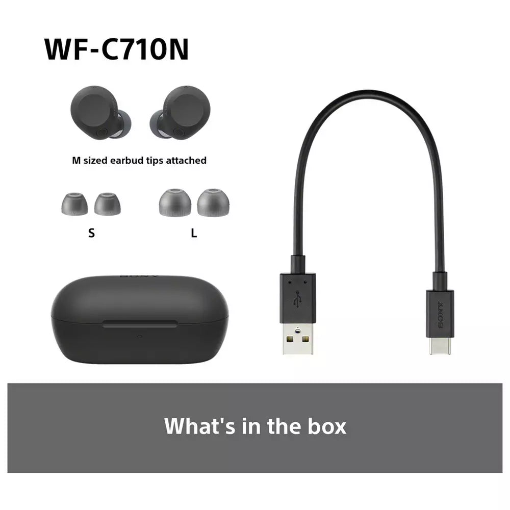Sony WF-C710N In-Ear True Wireless Earbuds - Black