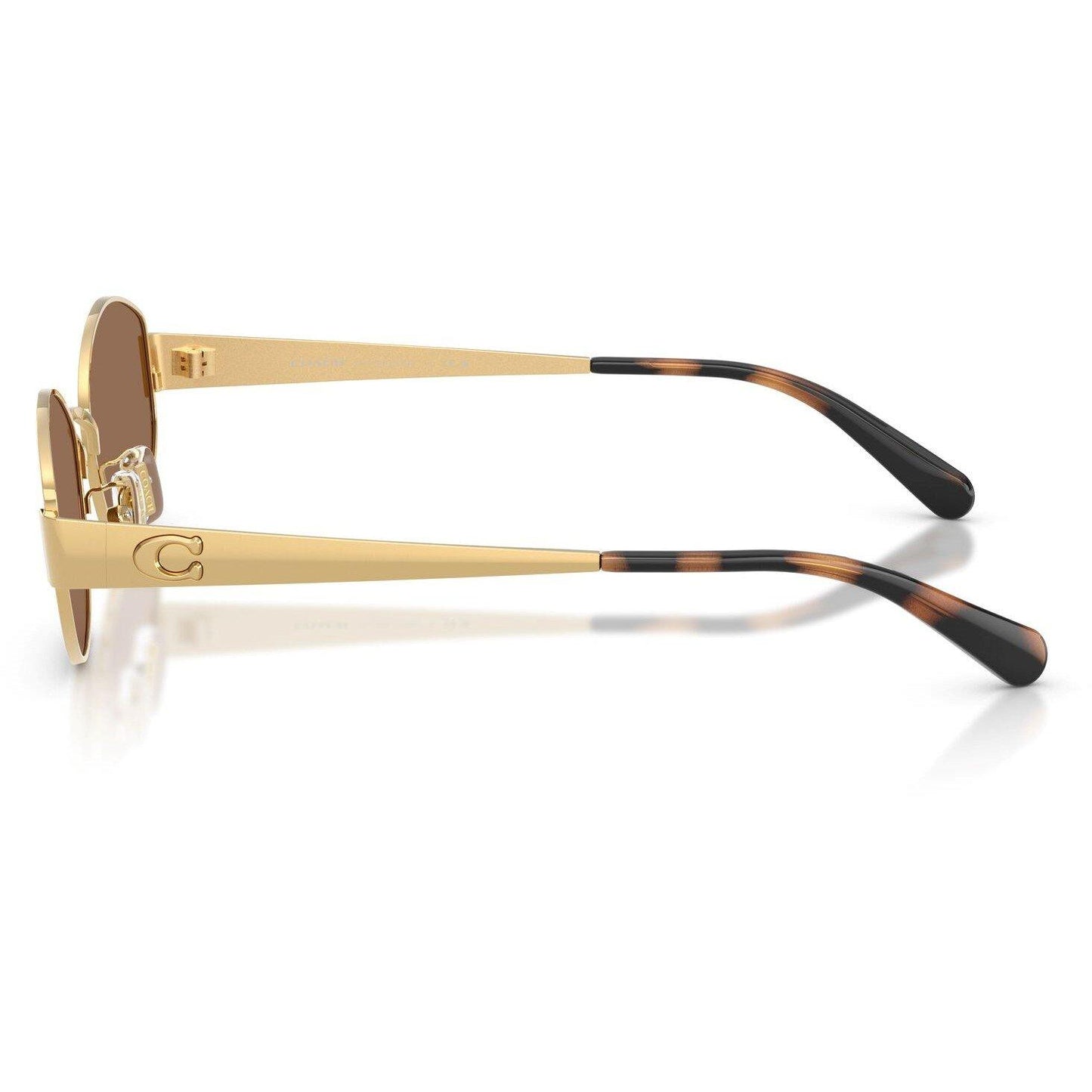 Coach Women's 0HC7192D Round Sunglasses