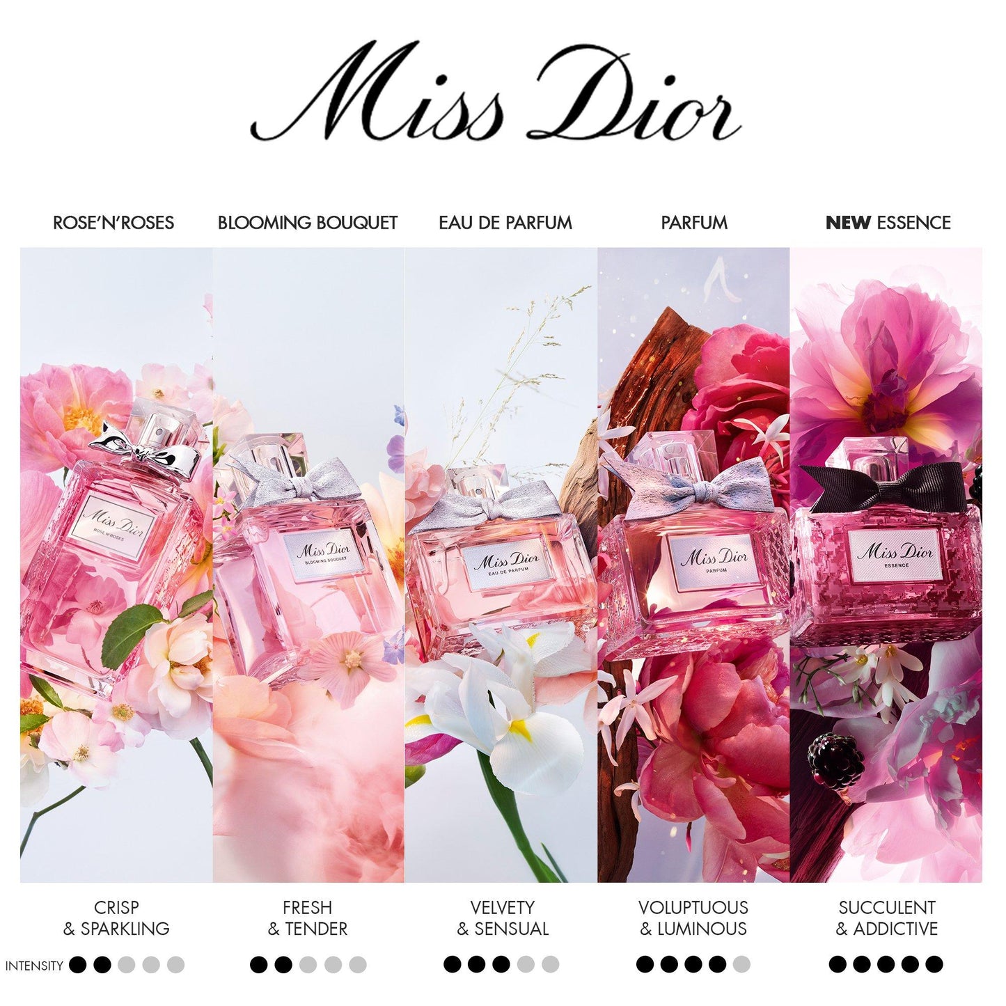 DIOR Miss Dior Rose NRoses Eau de Toilette