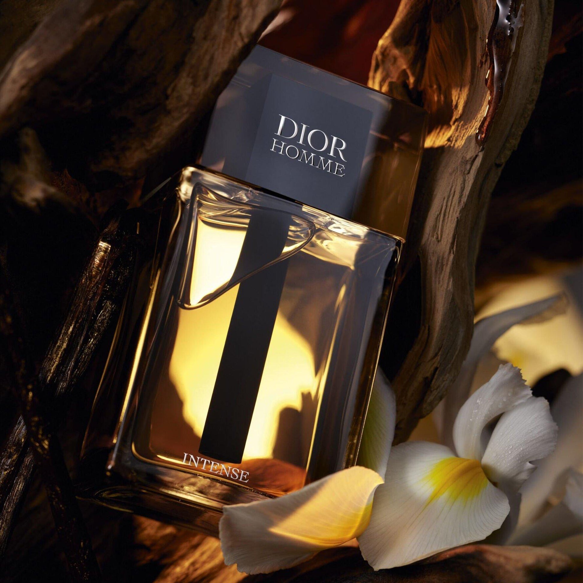 DIOR Dior Homme Eau de Parfum Intense