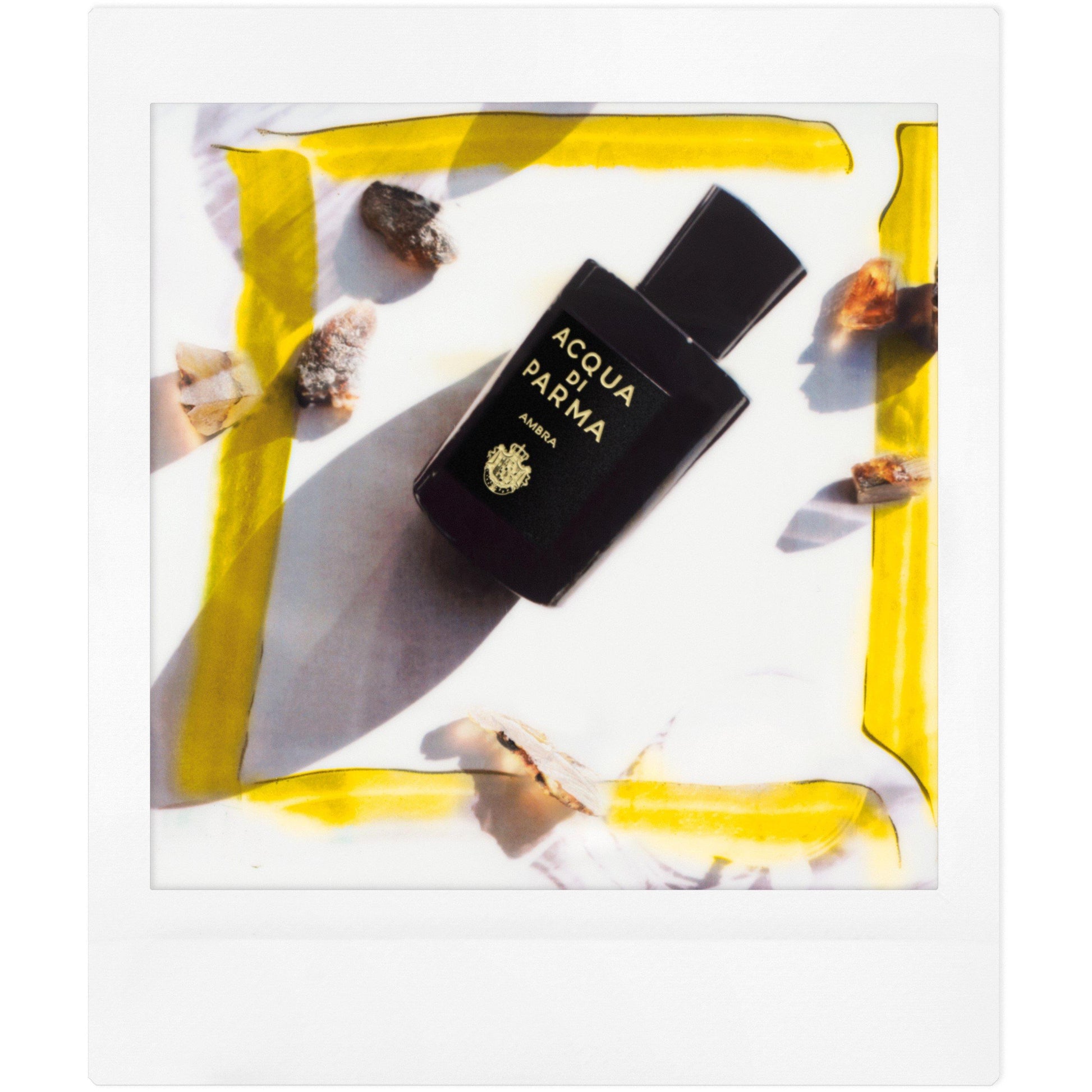 Acqua Di Parma Signatures of the Sun Ambra Eau de Parfum