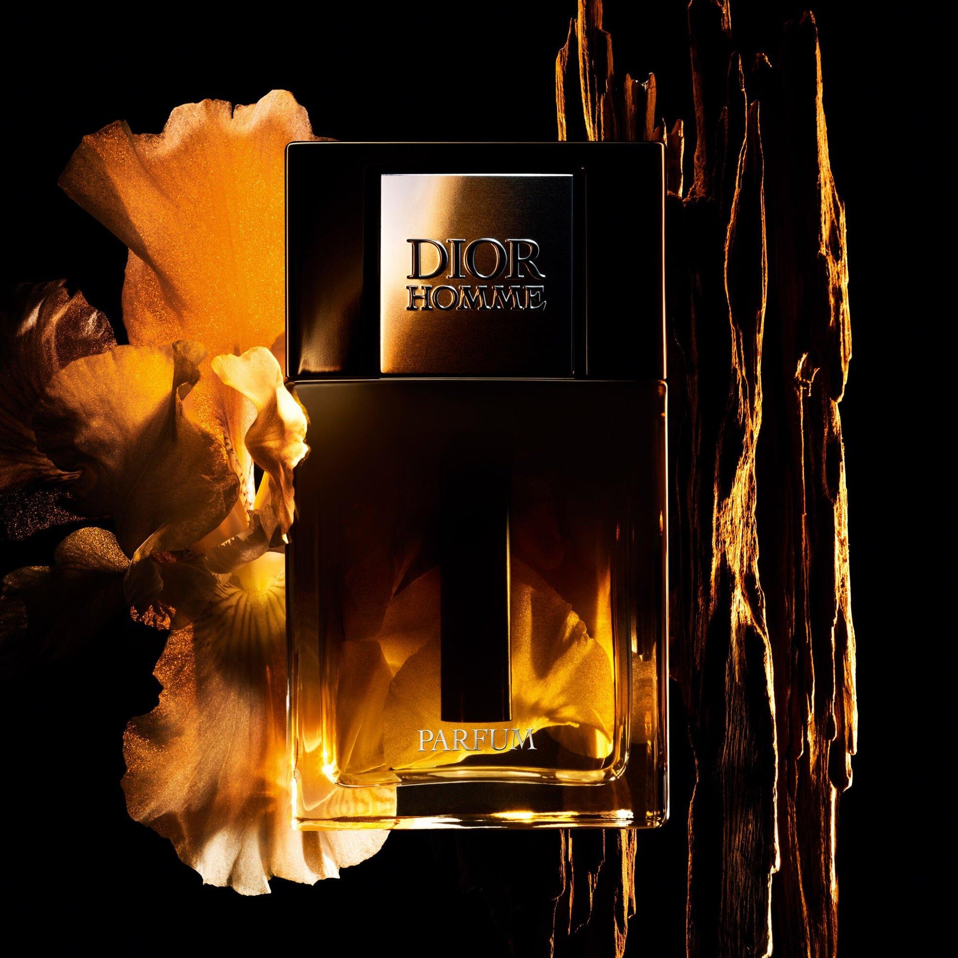 DIOR Dior Homme Parfum